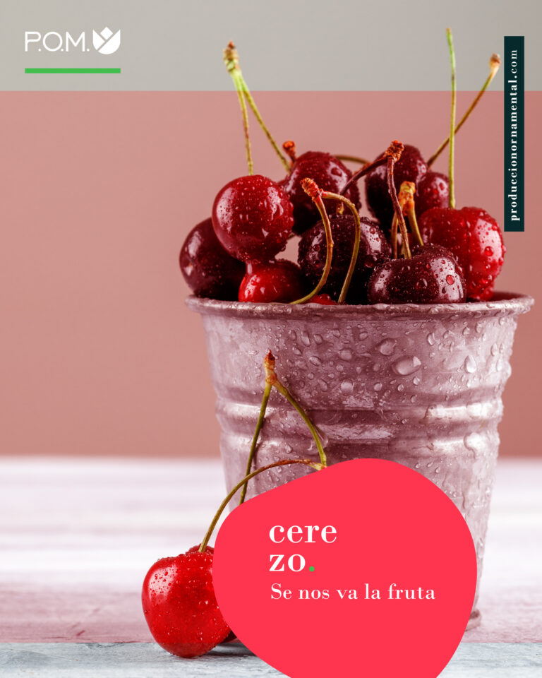 RRSS POM-2 semana frutales_Mesa de trabajo 1 copia 4
