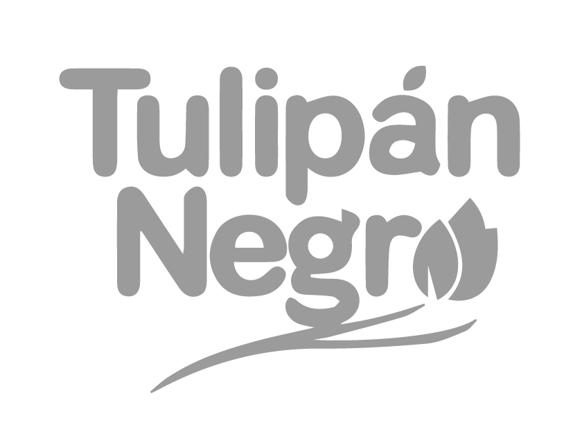 Logo de Tulipán Negro